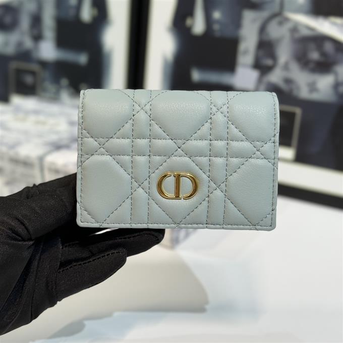 2025228Y 220P182145585